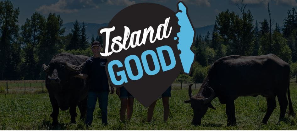 The City of Langford and Vancouver Island Economic Alliance Partner for