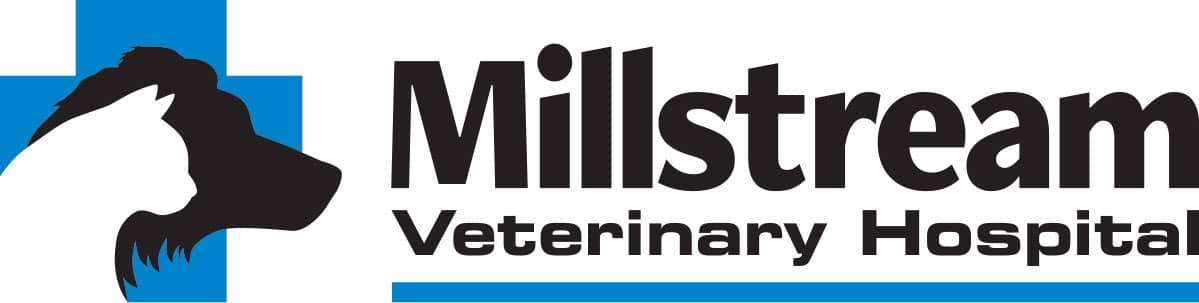 Millstream Veterinary Hospital