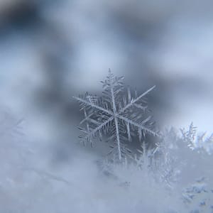 Extreme Cold and Artic Outflow Warning
