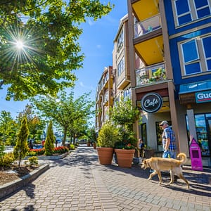 CITY OF LANGFORD RELEASES DRAFT OCP – INVITES COMMUNITY FEEDBACK