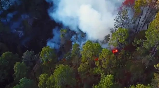 It's Time to Get FireSmart About Wildfires in BC