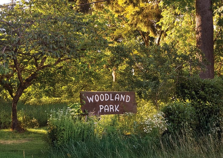 Woodlands