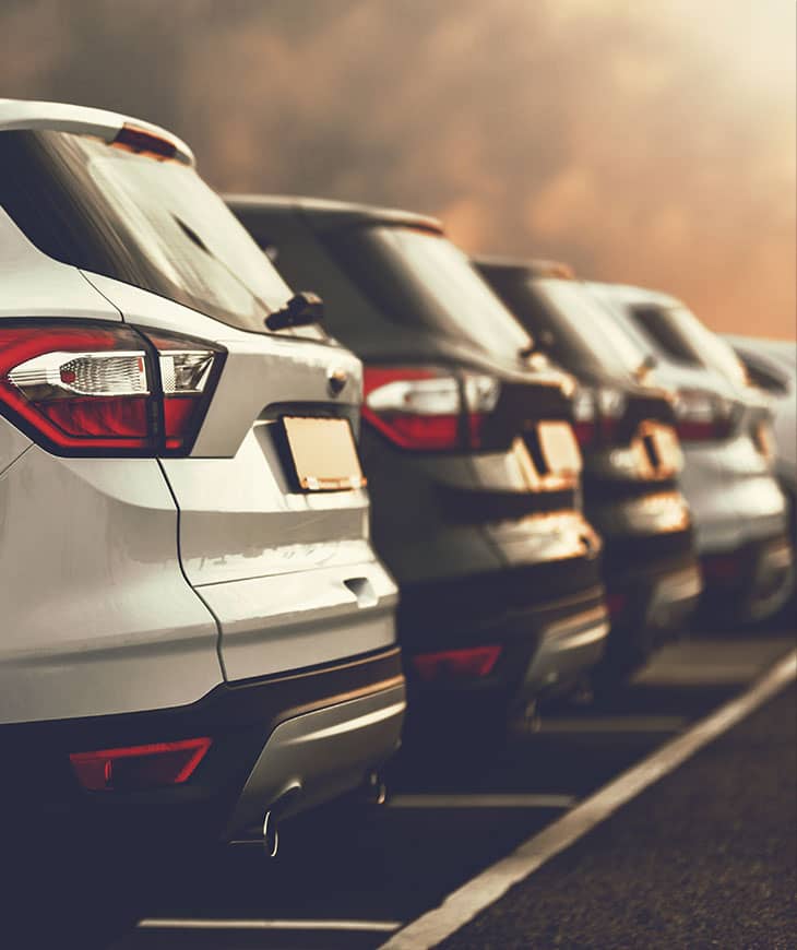 Car Rentals