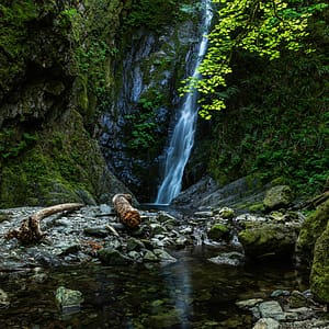 Let’s camp! A guide to spending the weekend at Goldstream Provincial Park