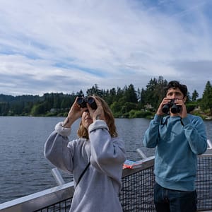 Fall Birds to Find and the Six Places to see Them in Langford