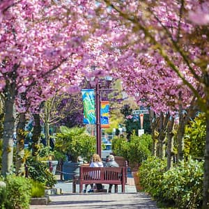 City of Langford seeks community input for current projects