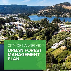 Langford Council approves a robust urban forest management plan