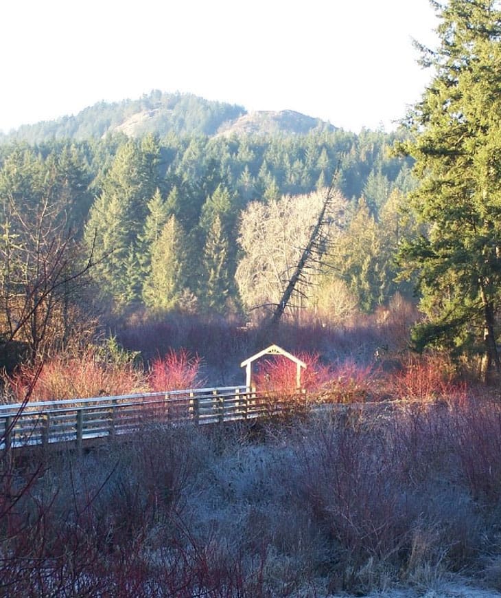 Cy Jenkins Trail