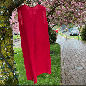 Red Dress Day Honoured by Langford Schools with March Down Goldstream